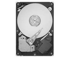 ST32000542AS （2TB SATA300 5900）